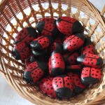 Ladybug_rocks