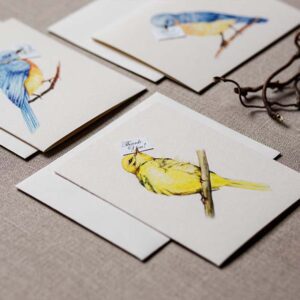 BLUEBIRD OF HAPPINESS THANK YOU CARDS