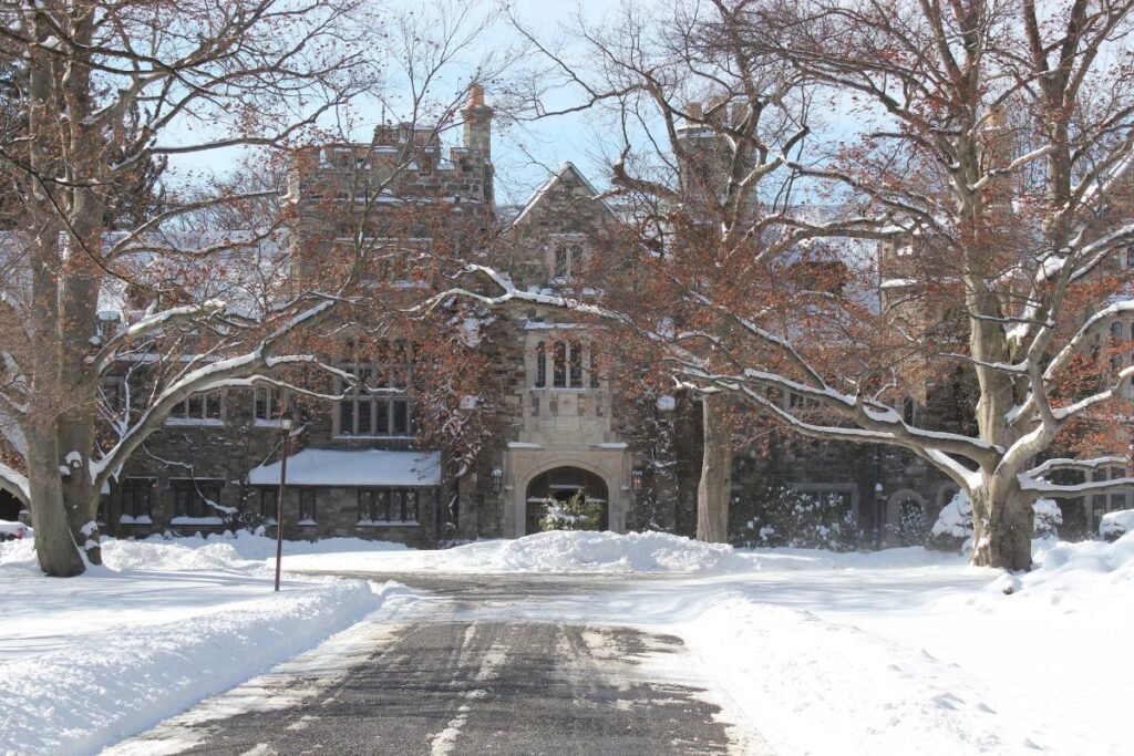 Snow and tree and the house