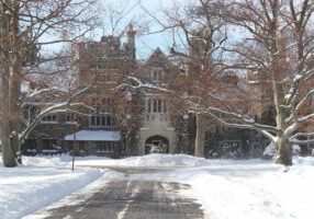 Snow and tree and the house